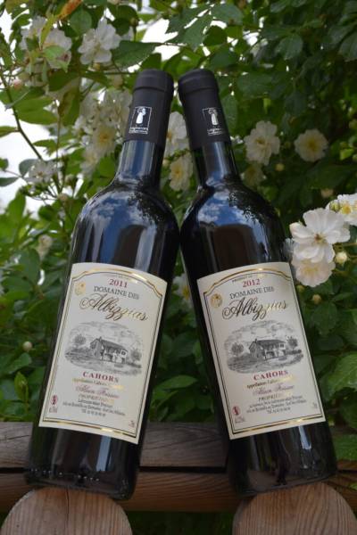 Cave à Vin, le Domaine des Albizzias à Prayssac (46) dans le Lot