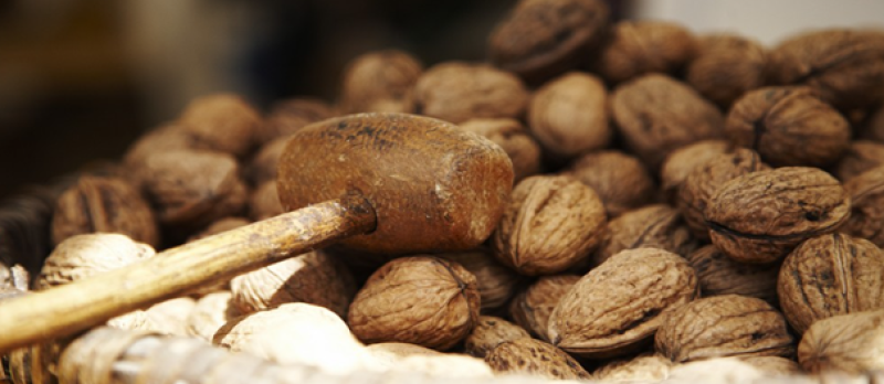 DORDOGNE NOIX, grossiste en fruit à Saint Laurent la Vallée en Dordogne (24)
